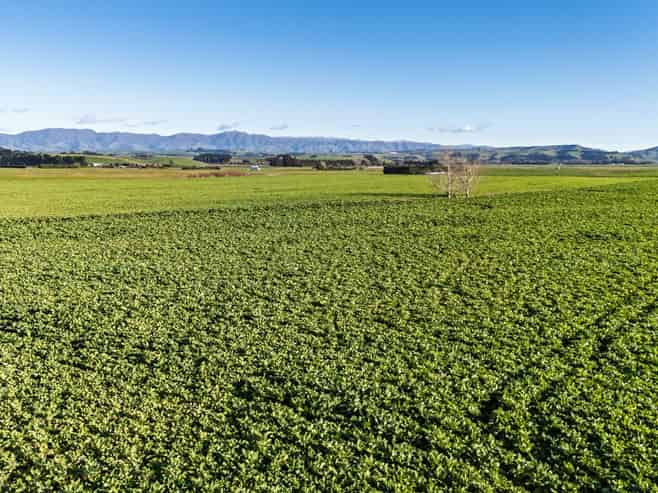  Pareora River Road, Southburn