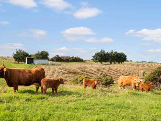 87A Parakau Road, Waiuku