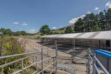 Lot 2, 172 Kakariki West Road, Eketahuna