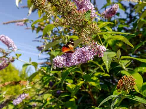 77 High Street, Eketahuna