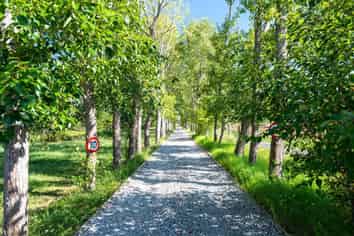 212 Pine Valley Road, Dairy Flat