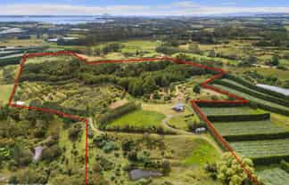 243B Wright Road, Katikati