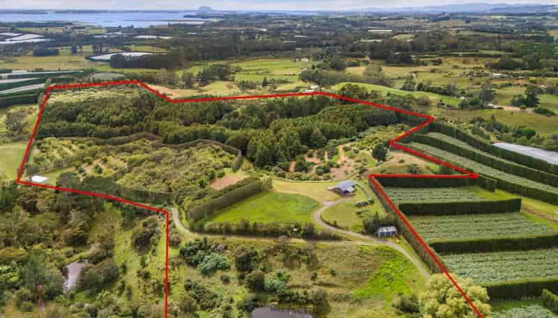 243B Wright Road, Katikati