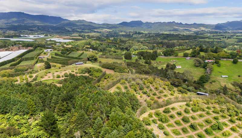 243B Wright Road, Katikati