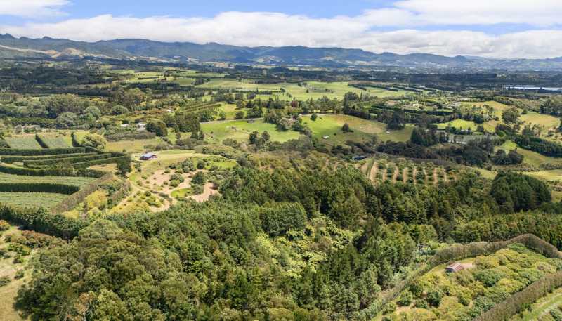 243B Wright Road, Katikati