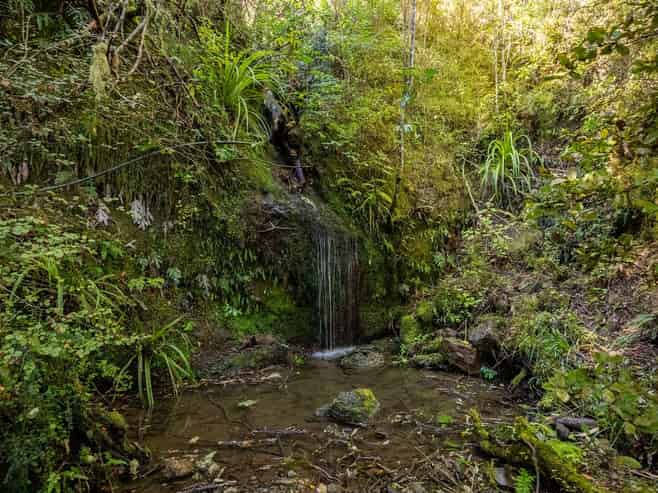 288 Matiri Valley Road, Murchison