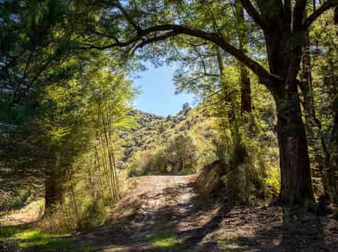 288 Matiri Valley Road, Murchison