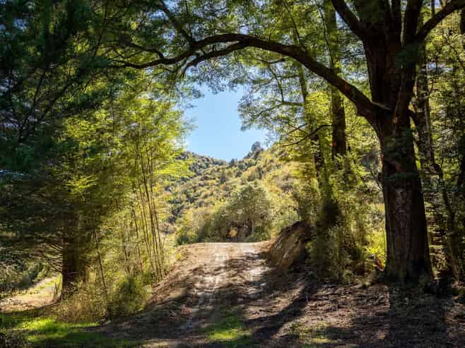 288 Matiri Valley Road, Murchison
