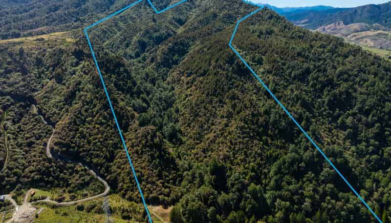 288 Matiri Valley Road, Murchison