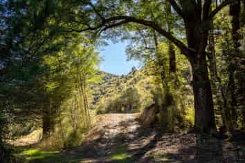 288 Matiri Valley Road, Murchison