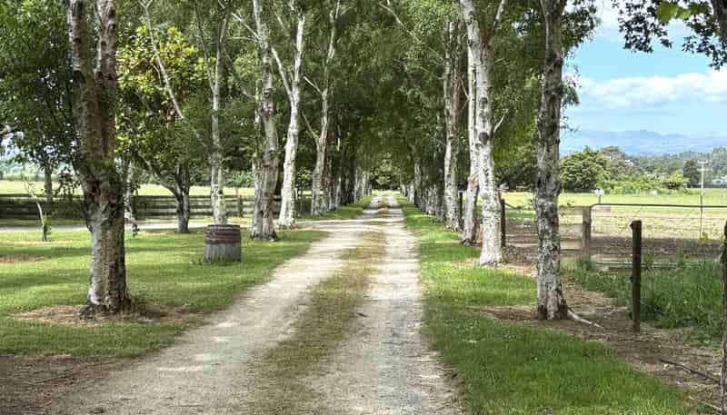 A/659 Dalefield Road, Carterton