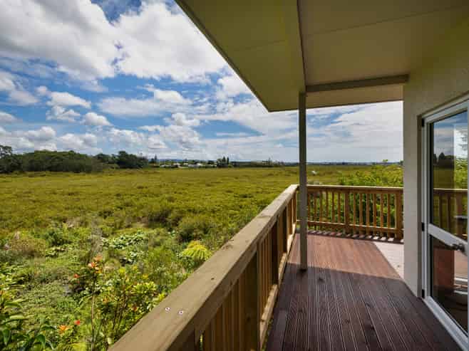 46C Fairlands Avenue, Waterview