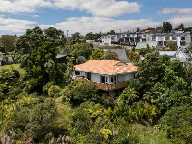 46C Fairlands Avenue, Waterview