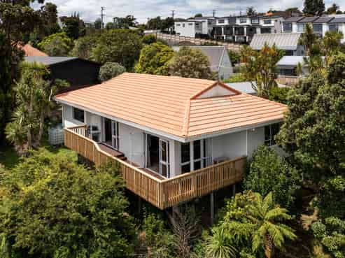 46C Fairlands Avenue, Waterview