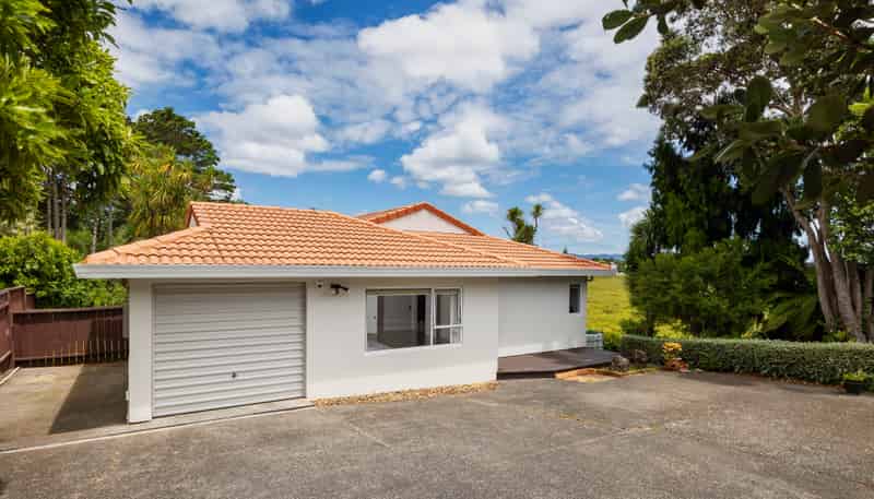 46C Fairlands Avenue, Waterview