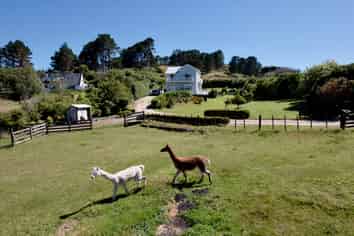 381 Horokiwi Rd, Horokiwi