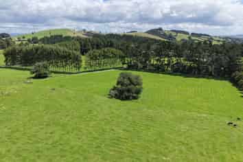 304 Hariru Road, Ohaeawai