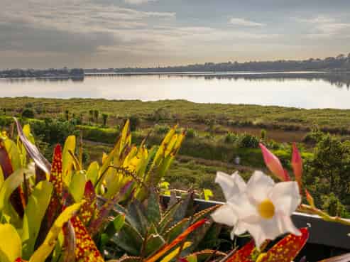 78 Esk Street, Parkvale