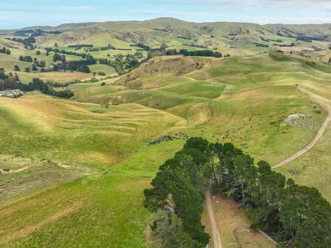 2 Cotswold Road, Omihi