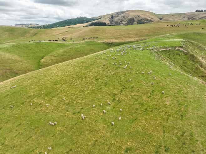 2 Cotswold Road, Omihi