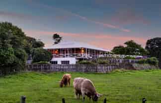 217 Brown Road, Brixton