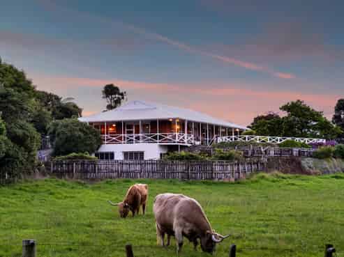 217 Brown Road, Brixton