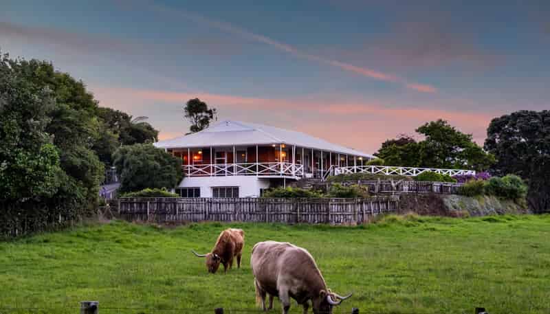 217 Brown Road, Brixton