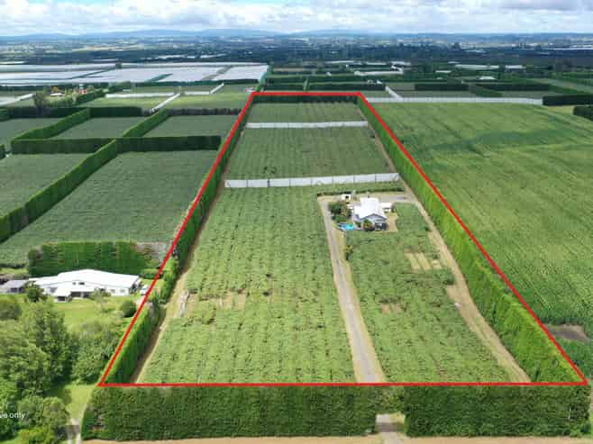 136 Kelly Road, Te Puke