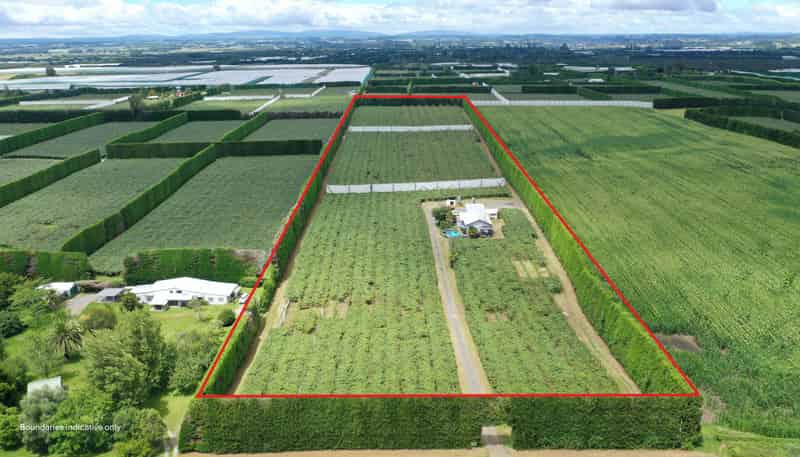 136 Kelly Road, Te Puke