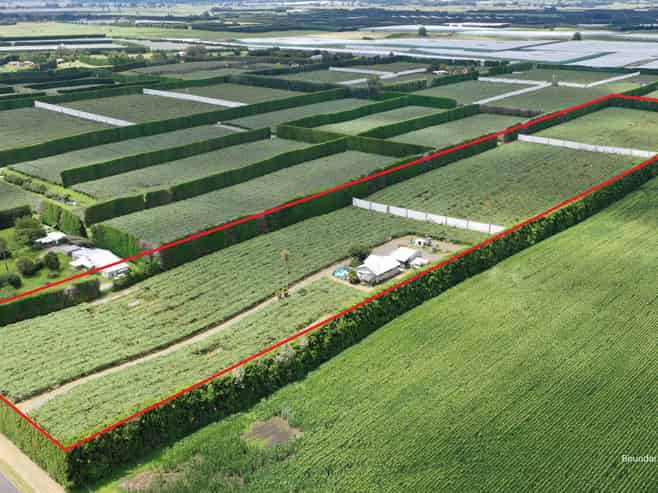 136 Kelly Road, Te Puke