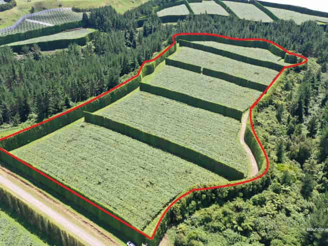 100 Penderel Road, Te Puke