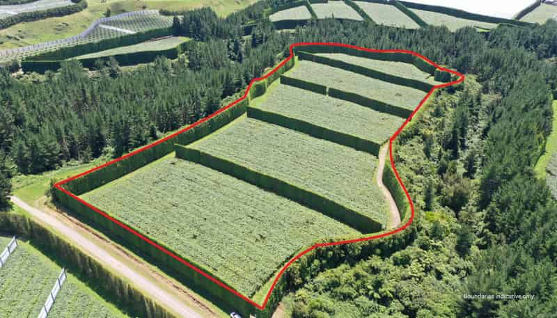 100 Penderel Road, Te Puke