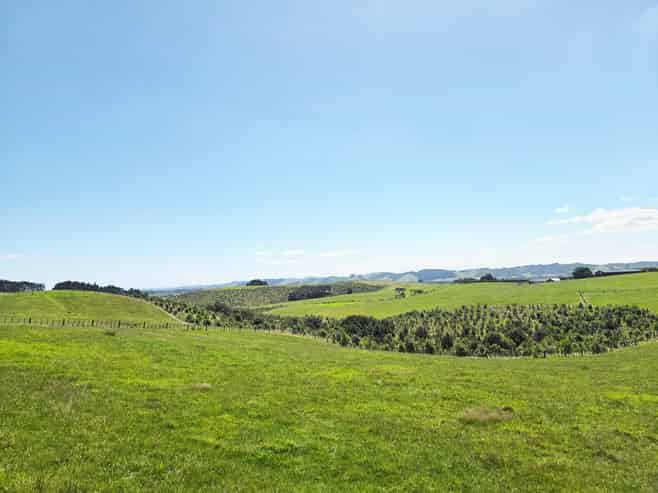 Lot 5, 36 Munros Road, Clevedon