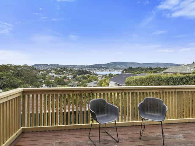 47 Spottiswoode Street, Andersons Bay