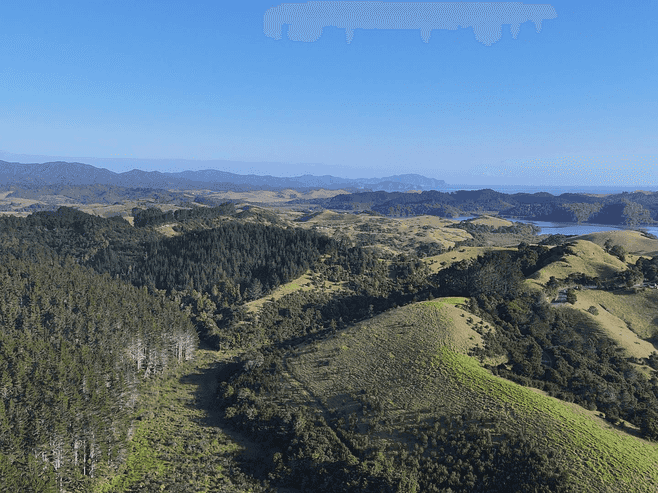 3211 Russell Road, Whangaruru