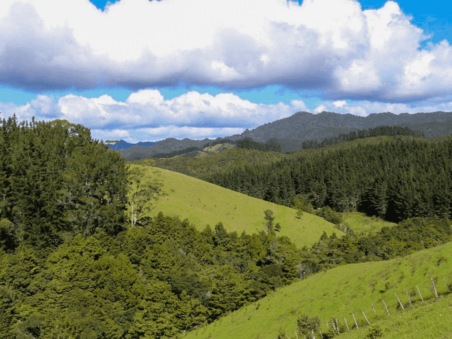 3211 Russell Road, Whangaruru