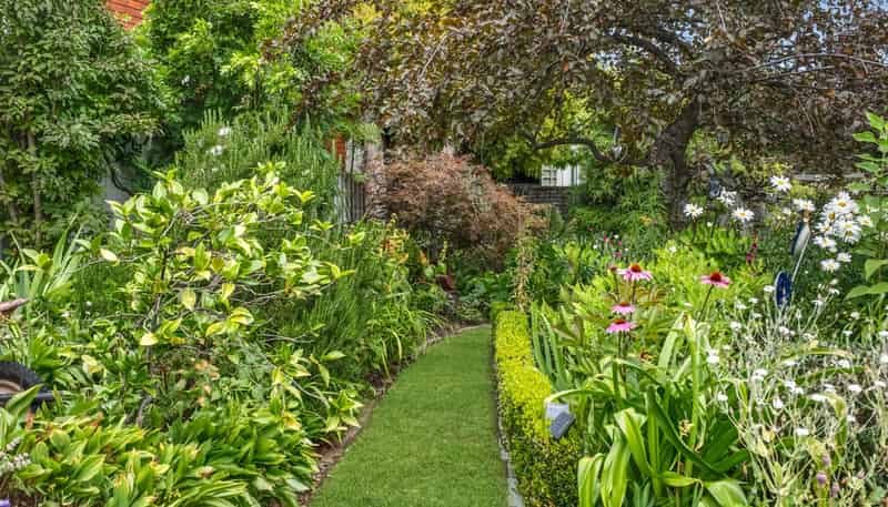 57 Brandon Street, Alexandra