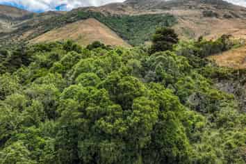 1467 Western Valley Road, Port Levy