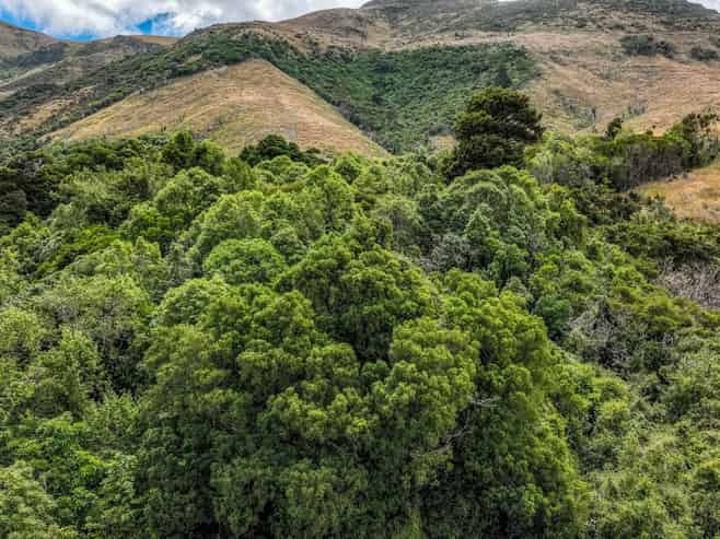 1467 Western Valley Road, Port Levy