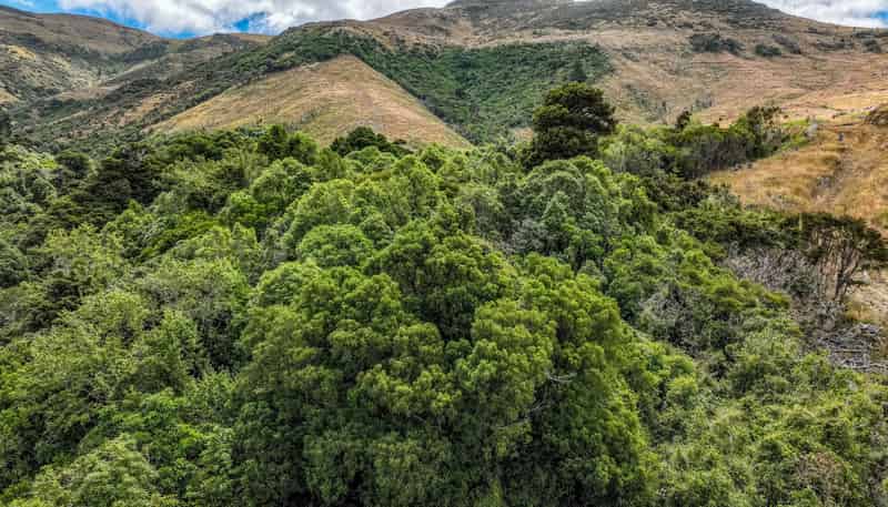 1467 Western Valley Road, Port Levy