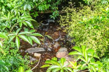 1467 Western Valley Road, Port Levy