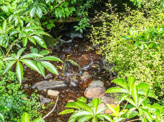 1467 Western Valley Road, Port Levy