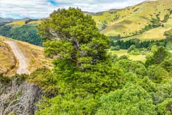 1467 Western Valley Road, Port Levy