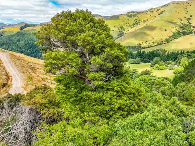 1467 Western Valley Road, Port Levy