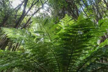 1467 Western Valley Road, Port Levy