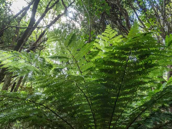 1467 Western Valley Road, Port Levy