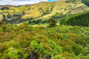 1467 Western Valley Road, Port Levy