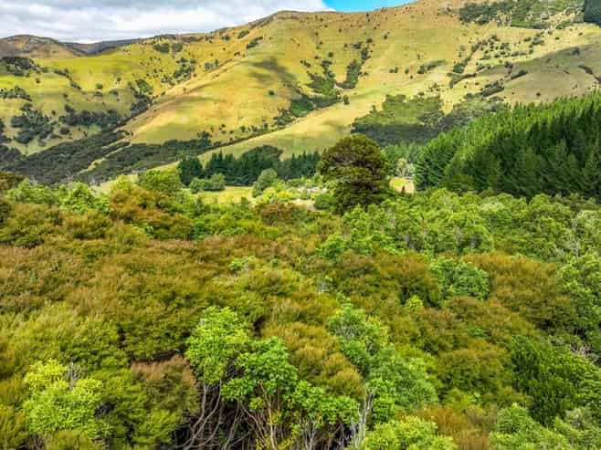 1467 Western Valley Road, Port Levy