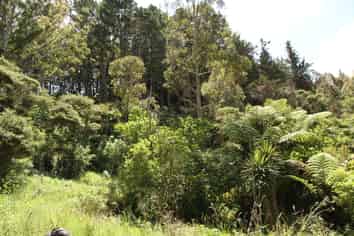  Puhata Road, Herekino