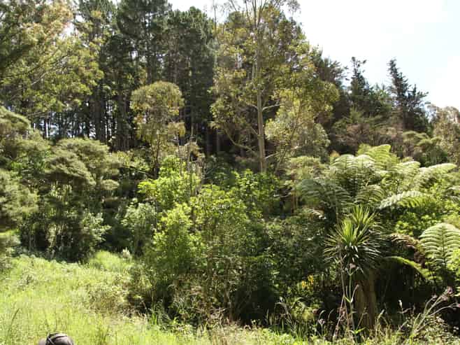  Puhata Road, Herekino